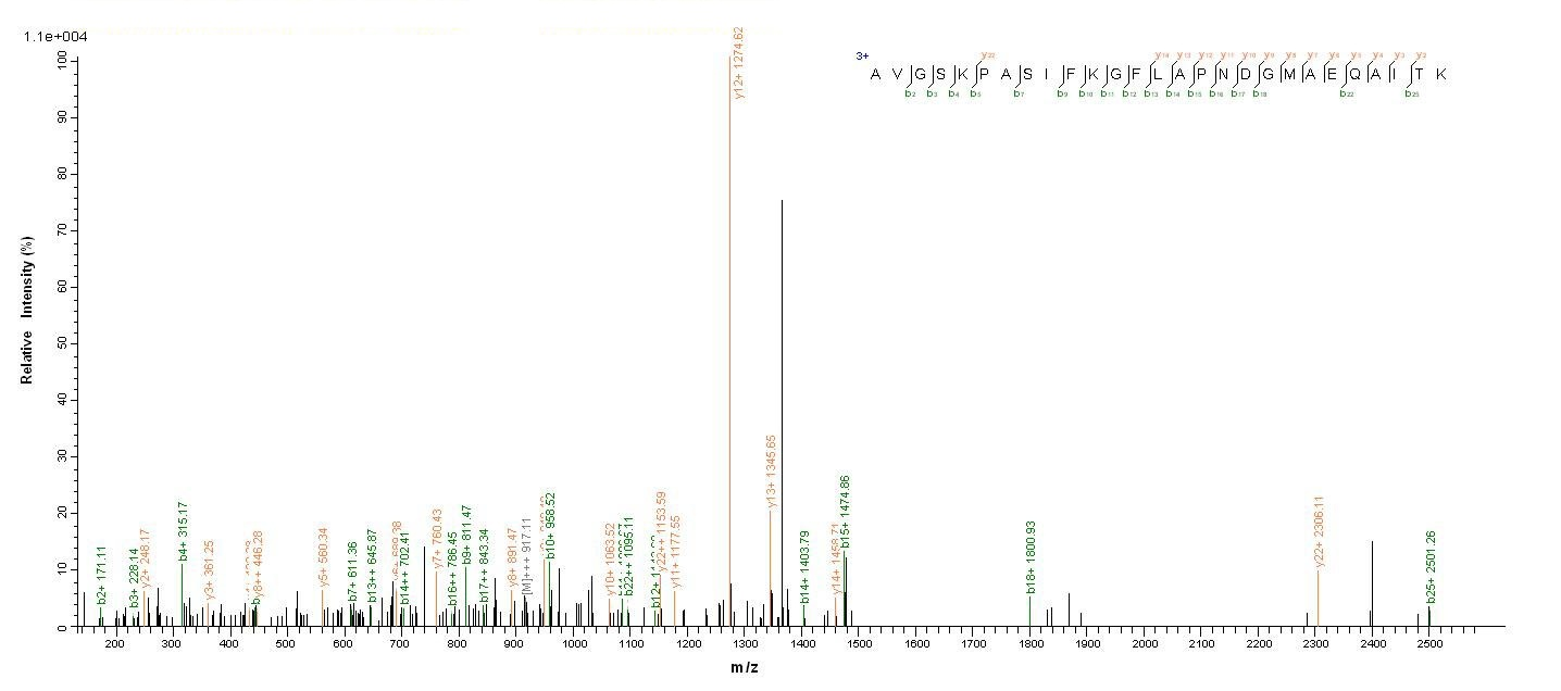 Bacterial P46 protein