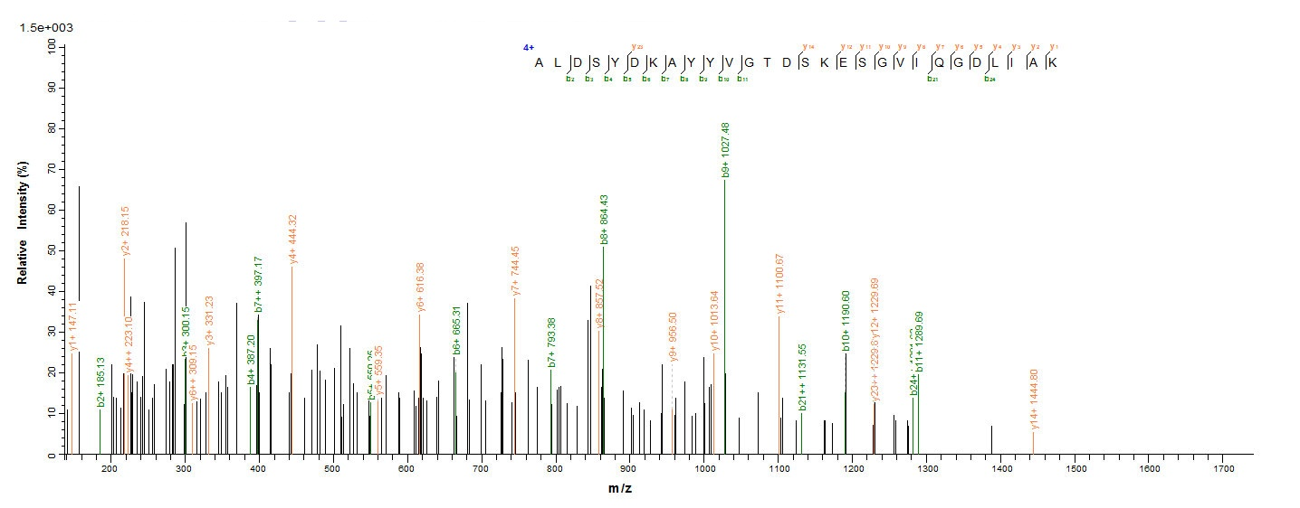 Bacterial MGLB protein