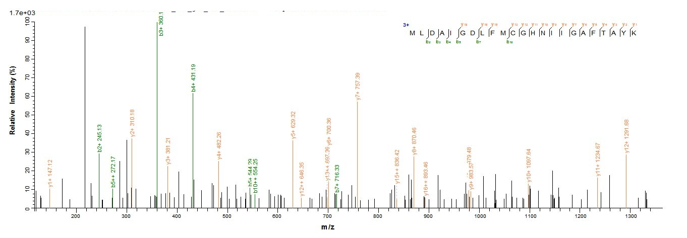 E. coli LPXC protein
