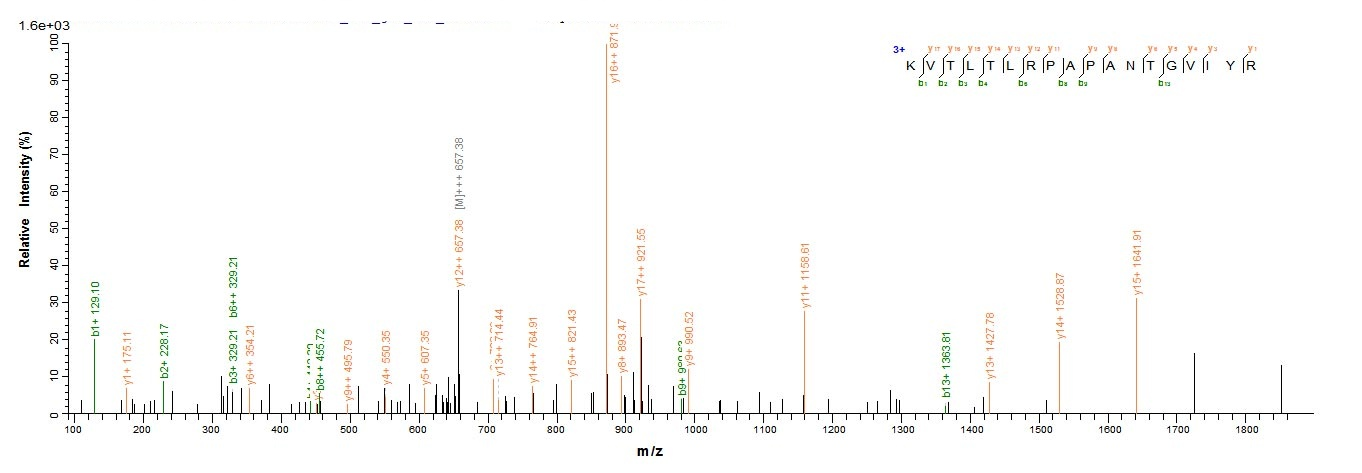 E. coli LPXC protein