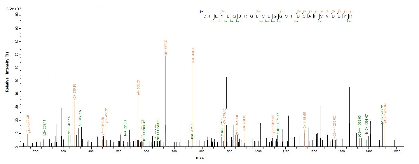 E. coli LPXC protein