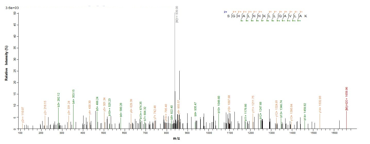 E. coli LPXC protein