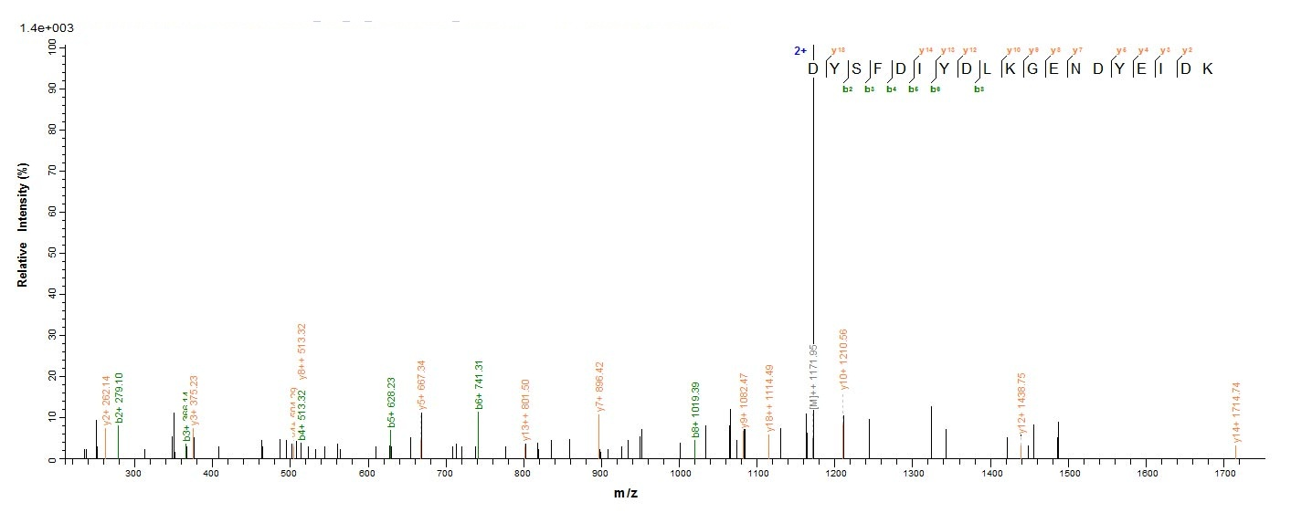 Bacterial ENTH protein