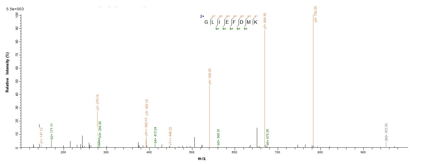 Bacterial ENTH protein