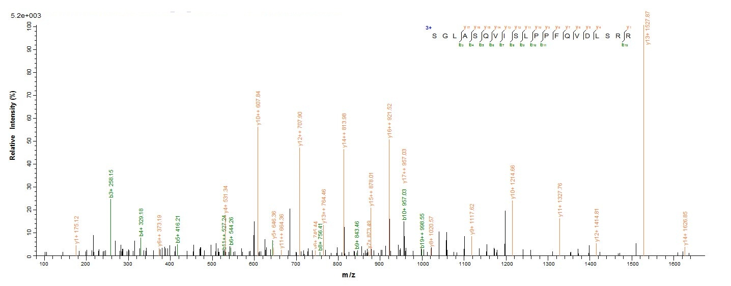E. coli PHOP protein