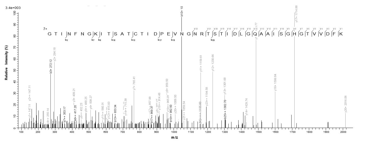 E. coli FANC protein