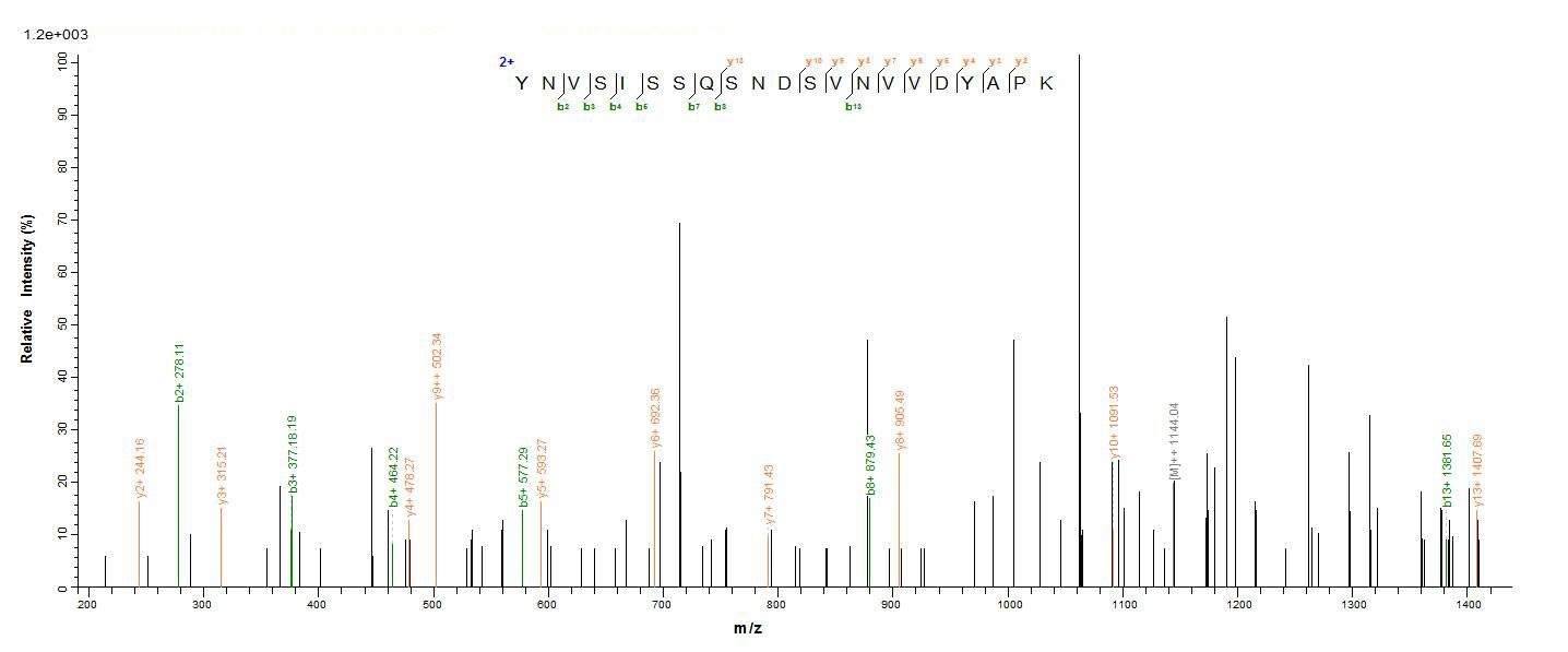 Bacterial HLGB protein