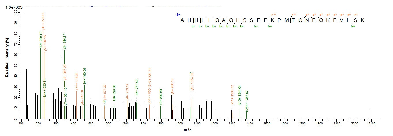 Human IFIH1 protein