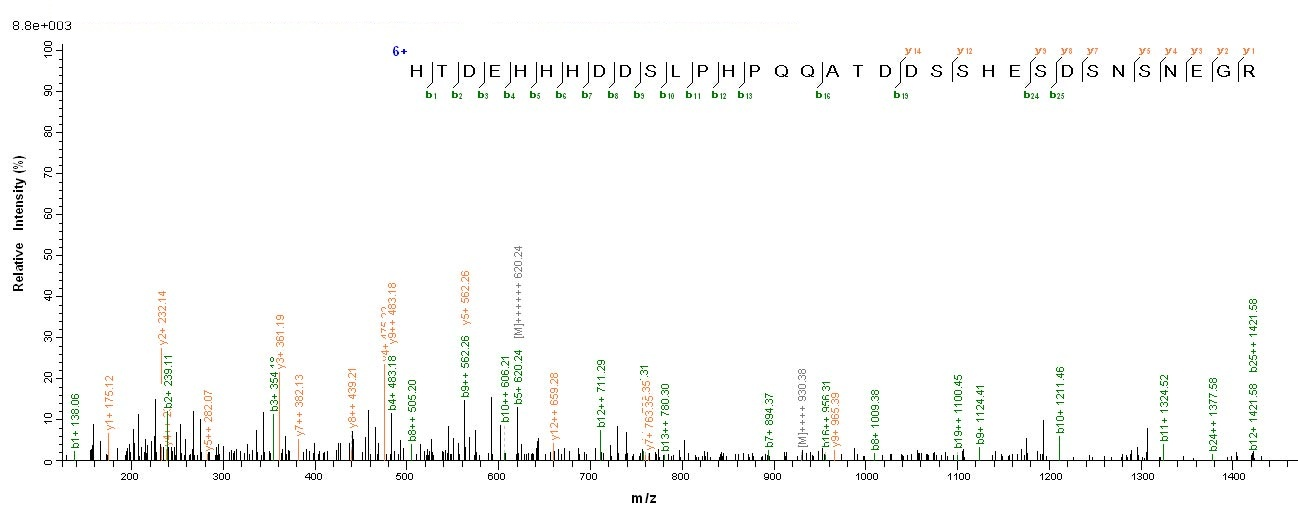 Human LMP1 protein