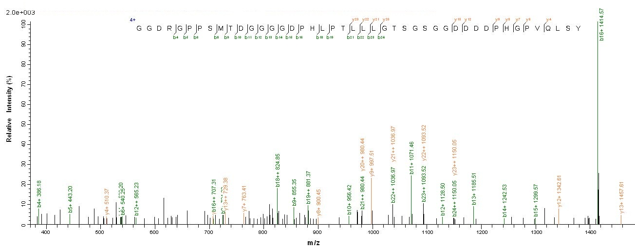 Human LMP1 protein