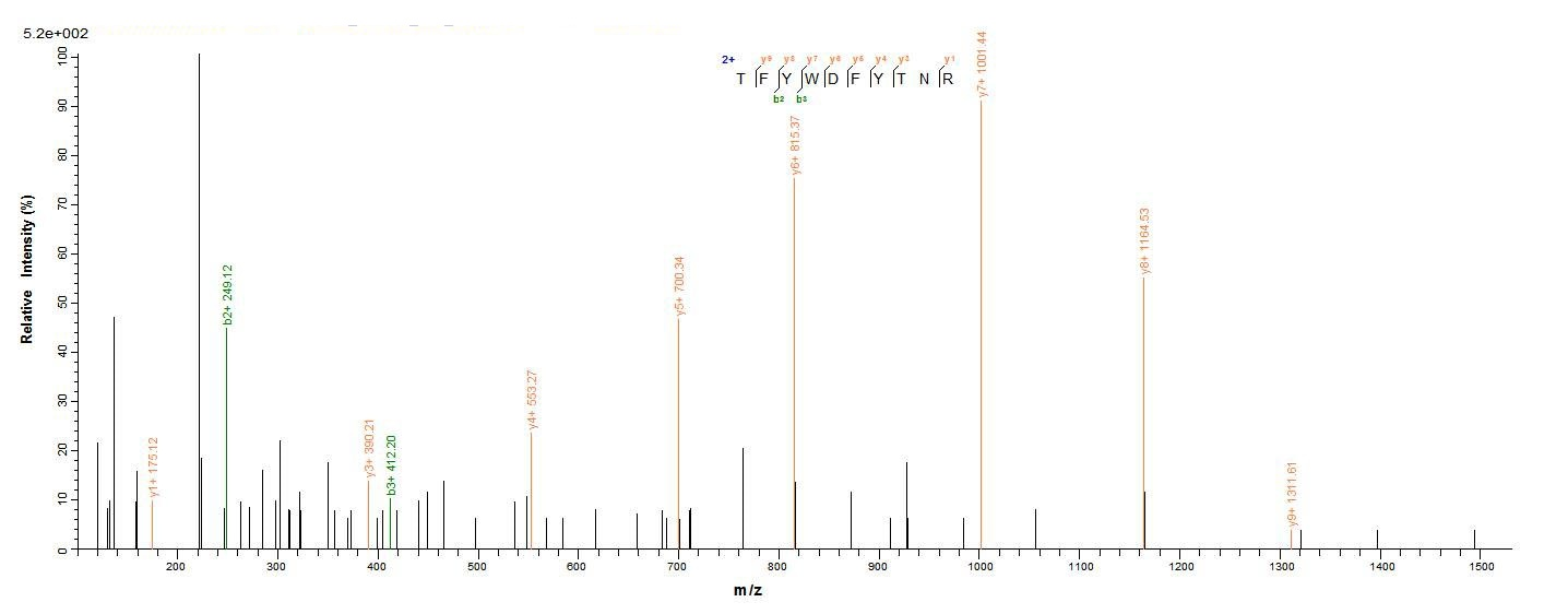 Human PIP protein