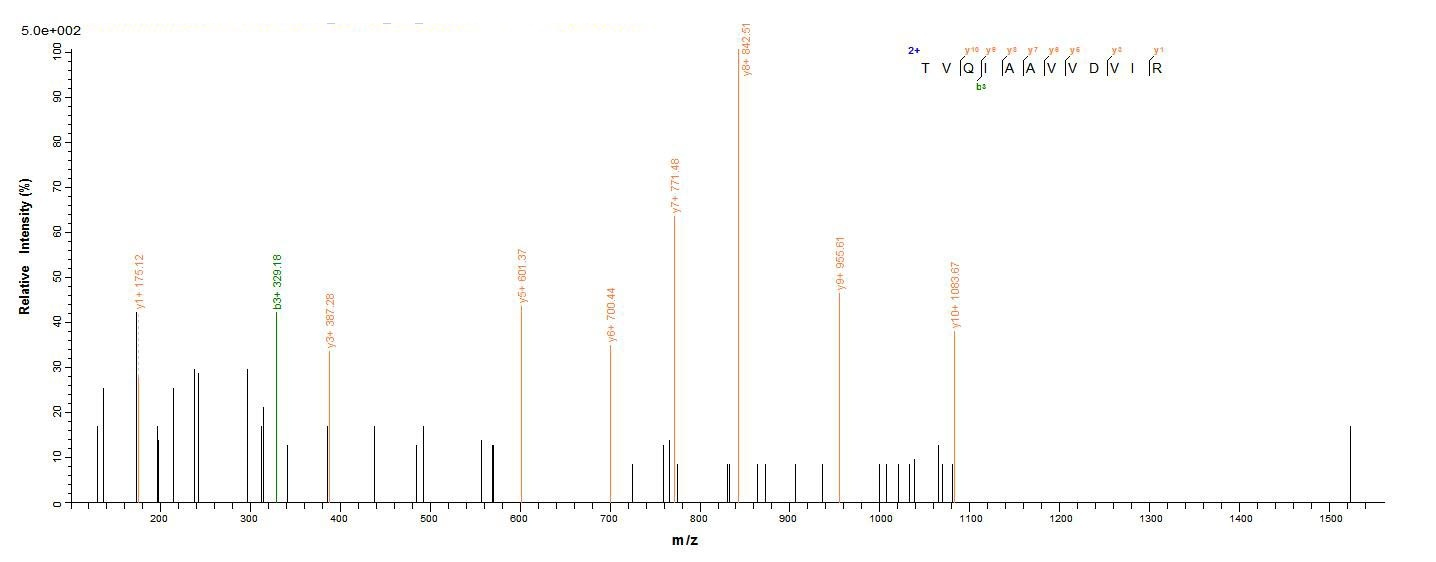 Human PIP protein