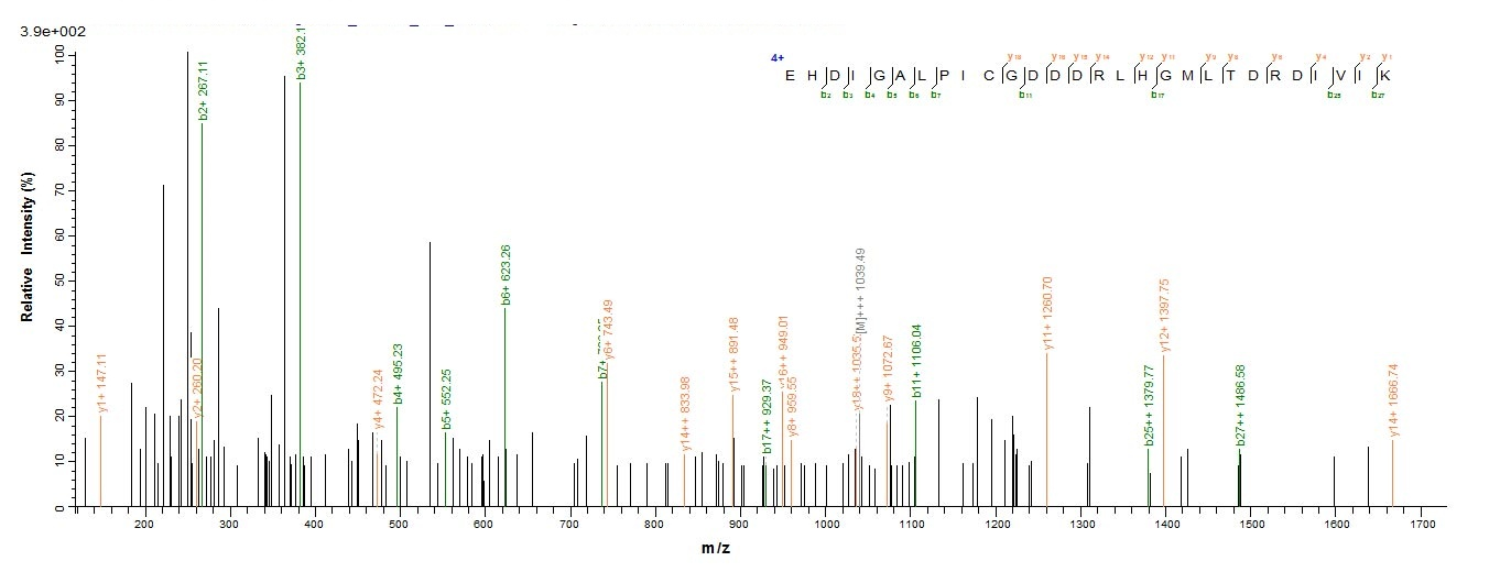 Bacterial HRP1 protein