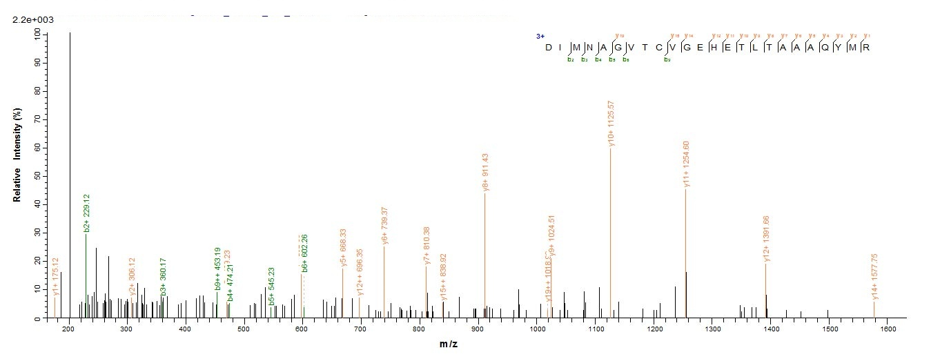 Bacterial HRP1 protein