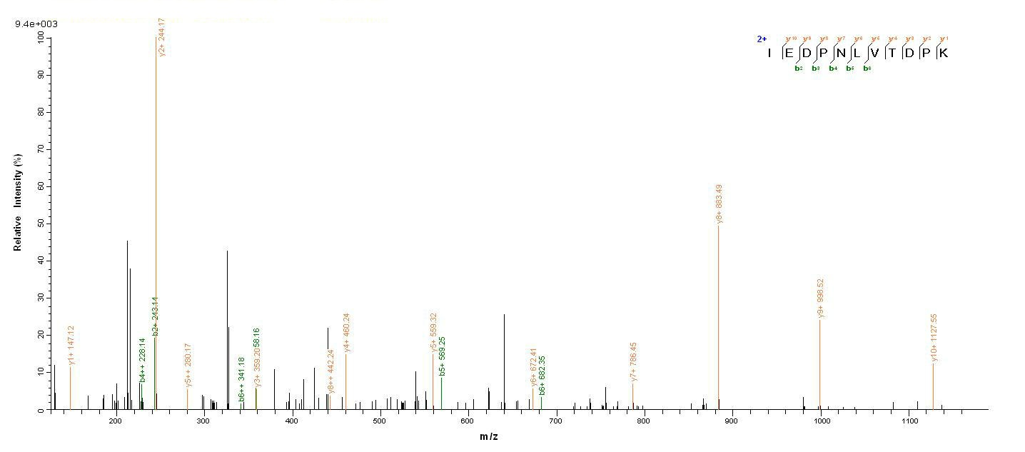 Bacterial PRGJ protein