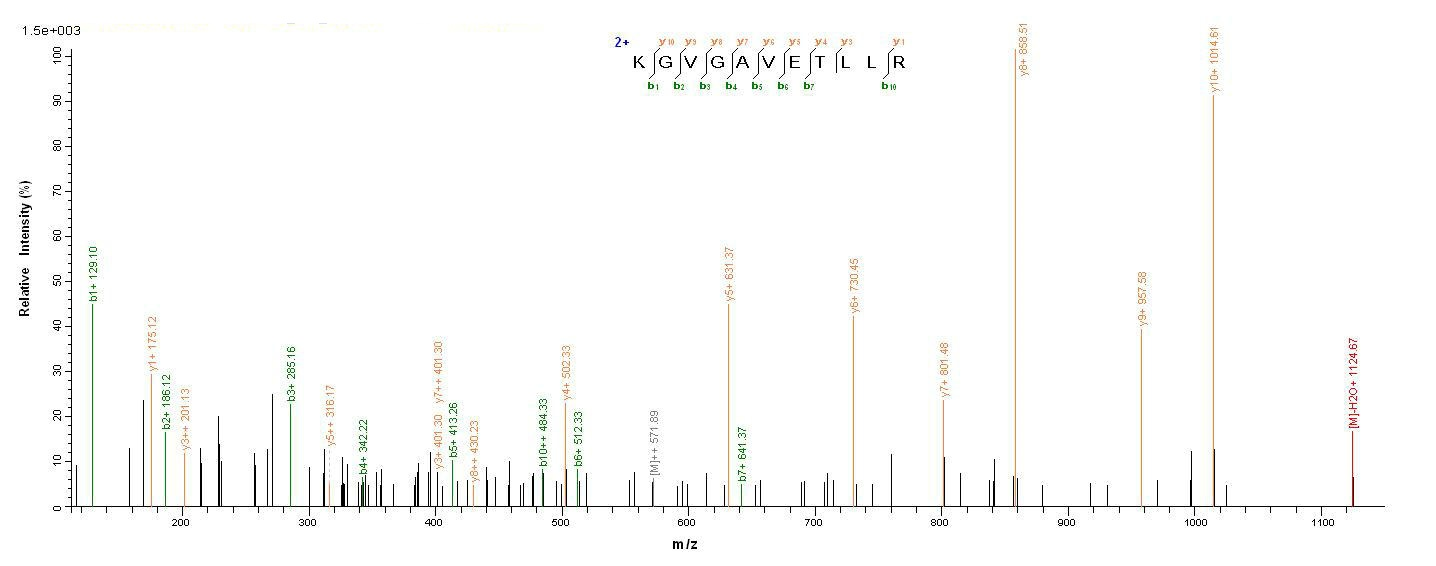 Bacterial PRGJ protein