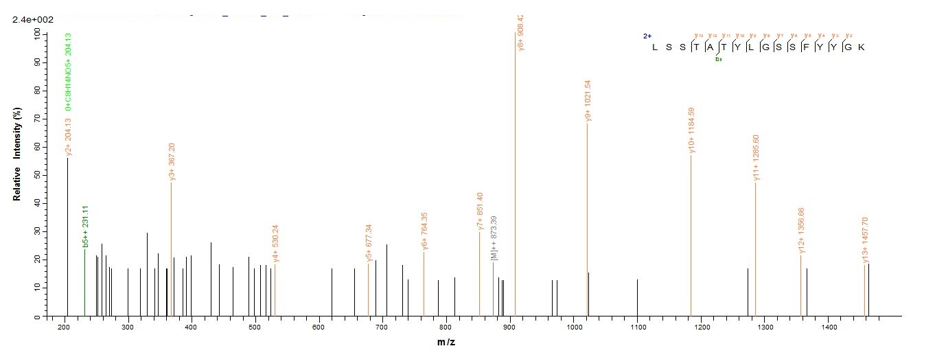Bacterial APR protein