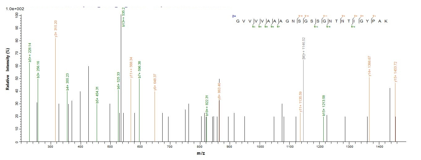 Bacterial APR protein