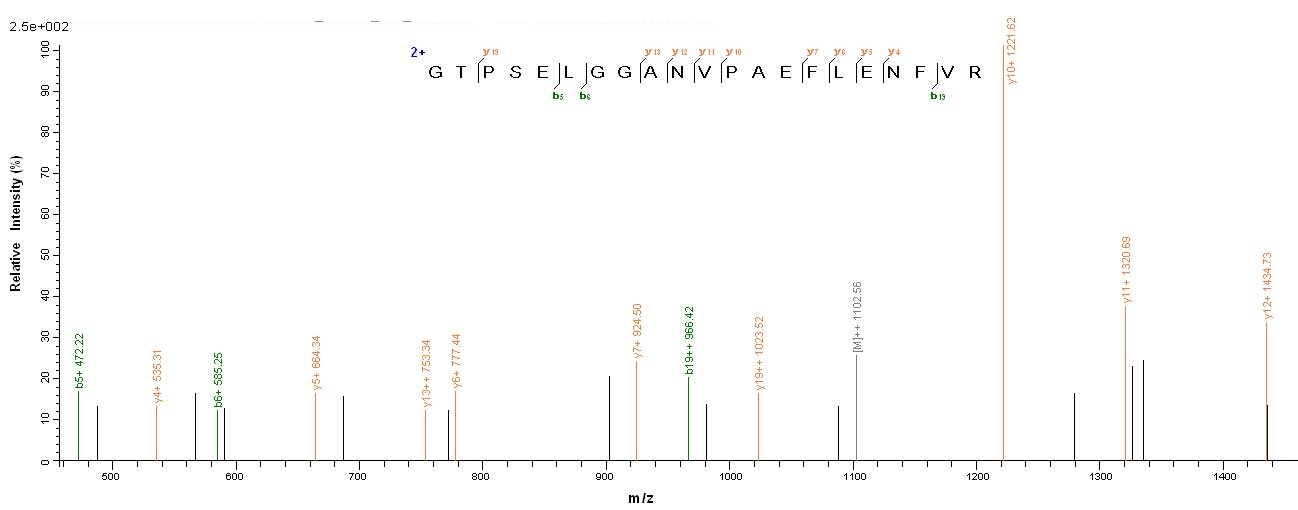 Bacterial FBPB protein