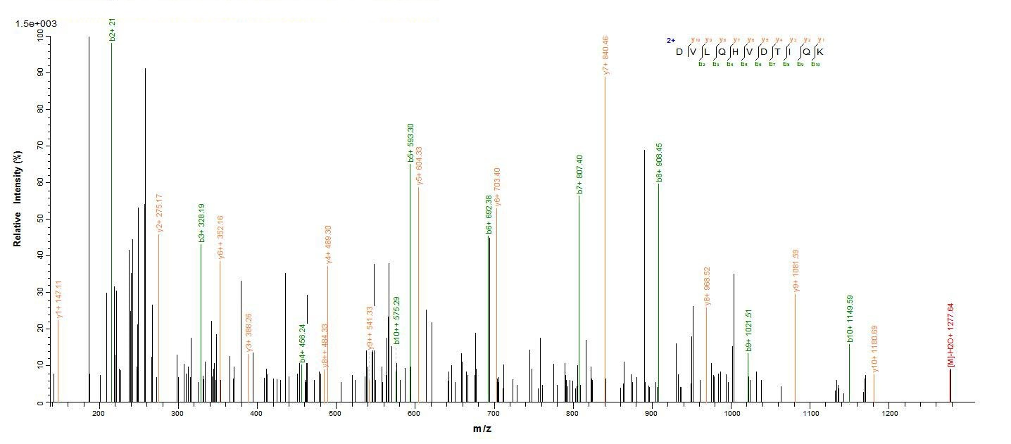 Mouse MGLL protein