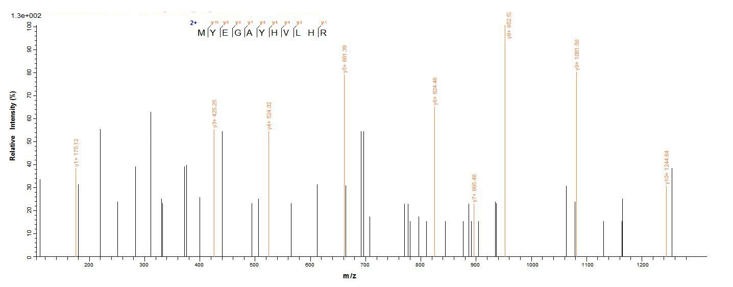 Mouse MGLL protein