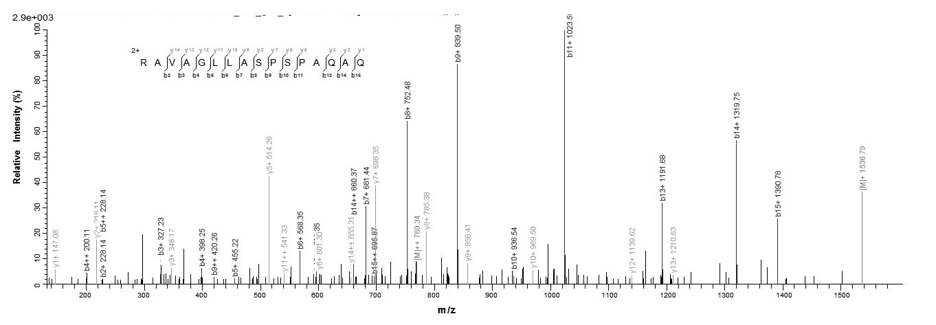 Human FXN protein