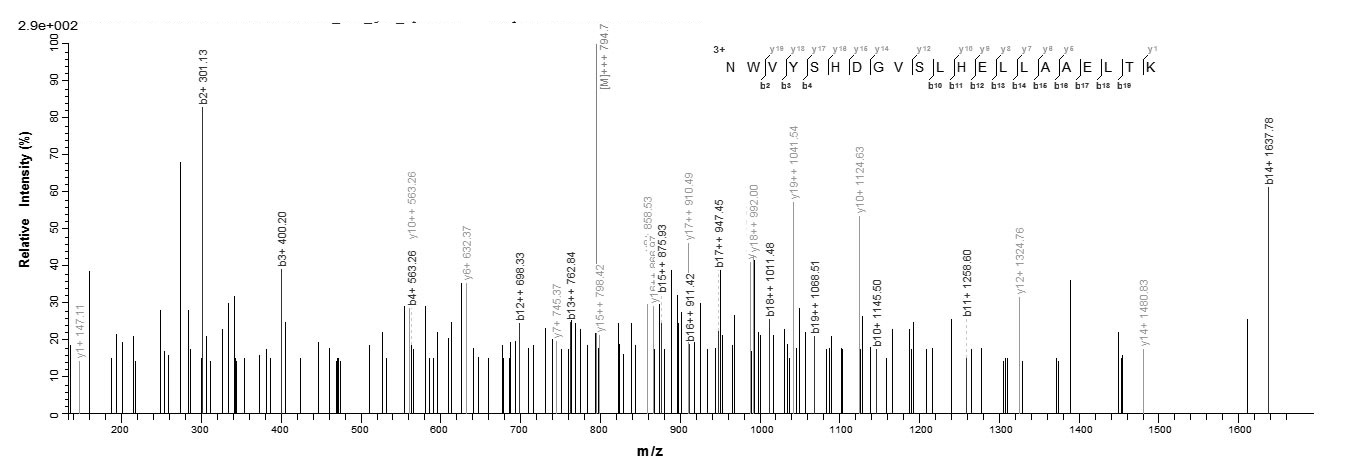 Human FXN protein