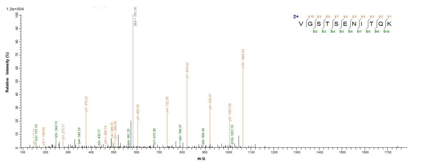 Human DDX3X protein