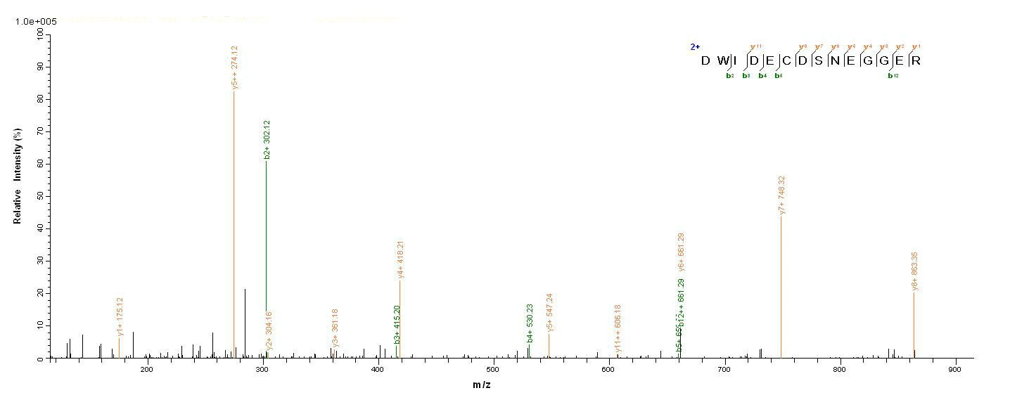 Animal Tick anticoagulant peptide protein