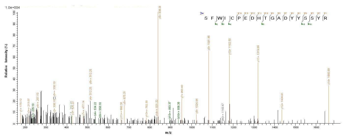 Animal Tick anticoagulant peptide protein