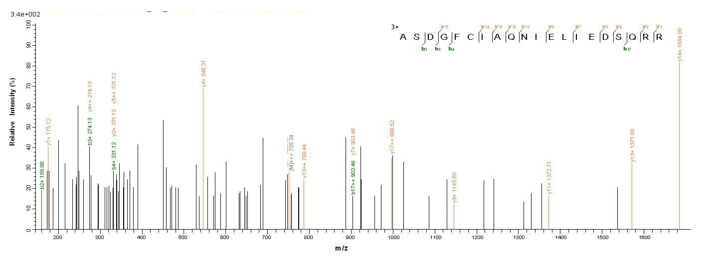Mouse LY6C1 protein