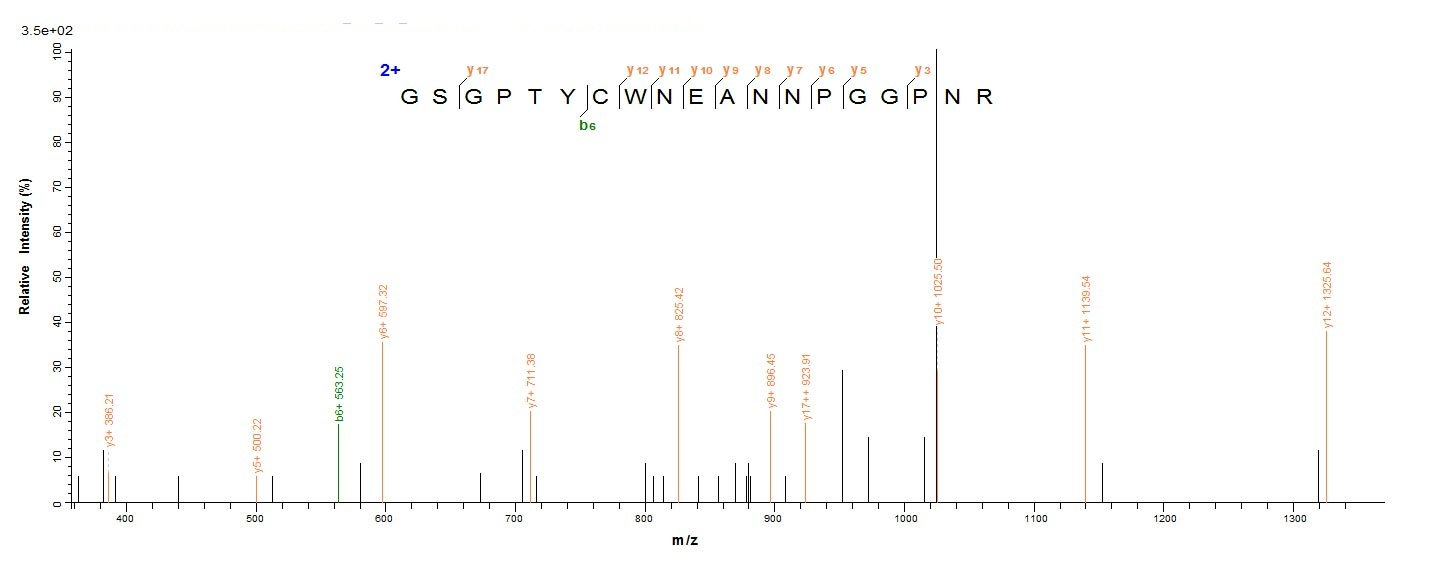 Animal Scytovirin protein