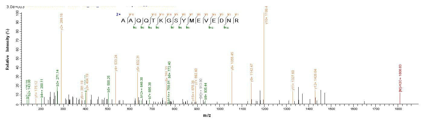 Mouse Aquaporin 4 protein