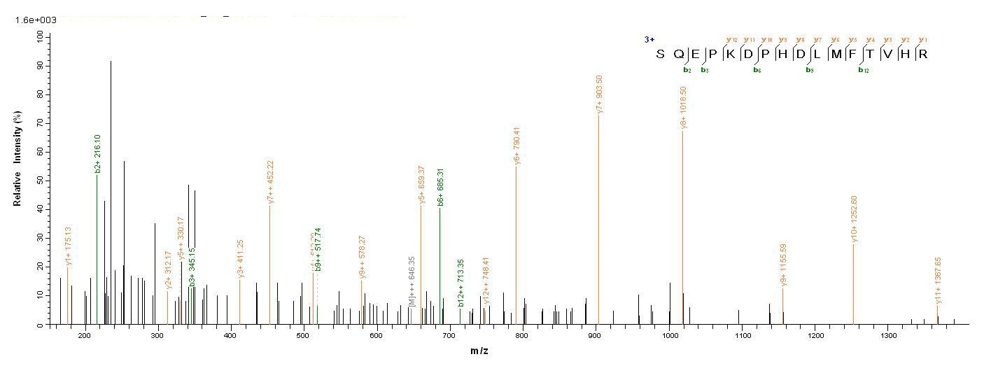 Pig P-Cadherin protein