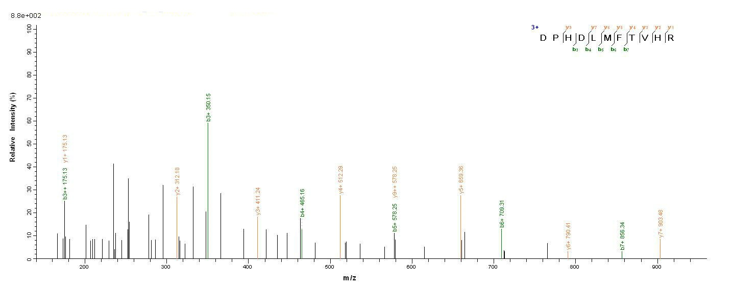 Pig P-Cadherin protein