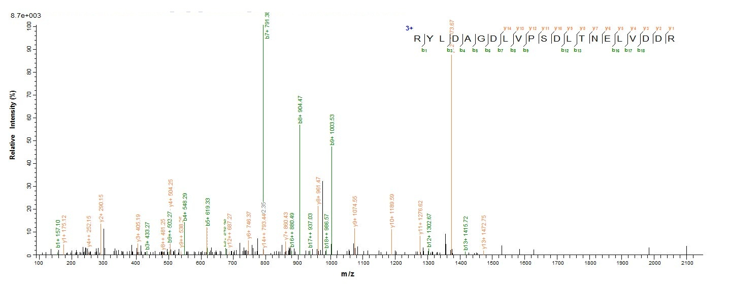 Bacterial ADK protein