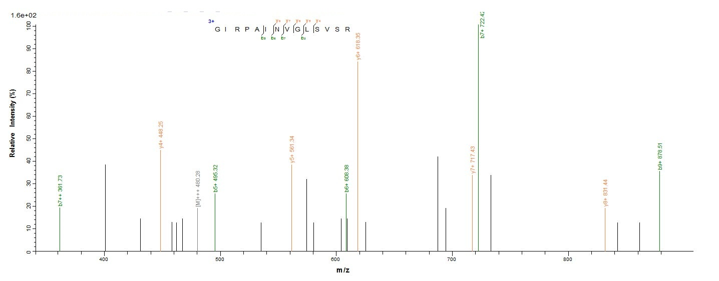 Human ATP5A1 protein