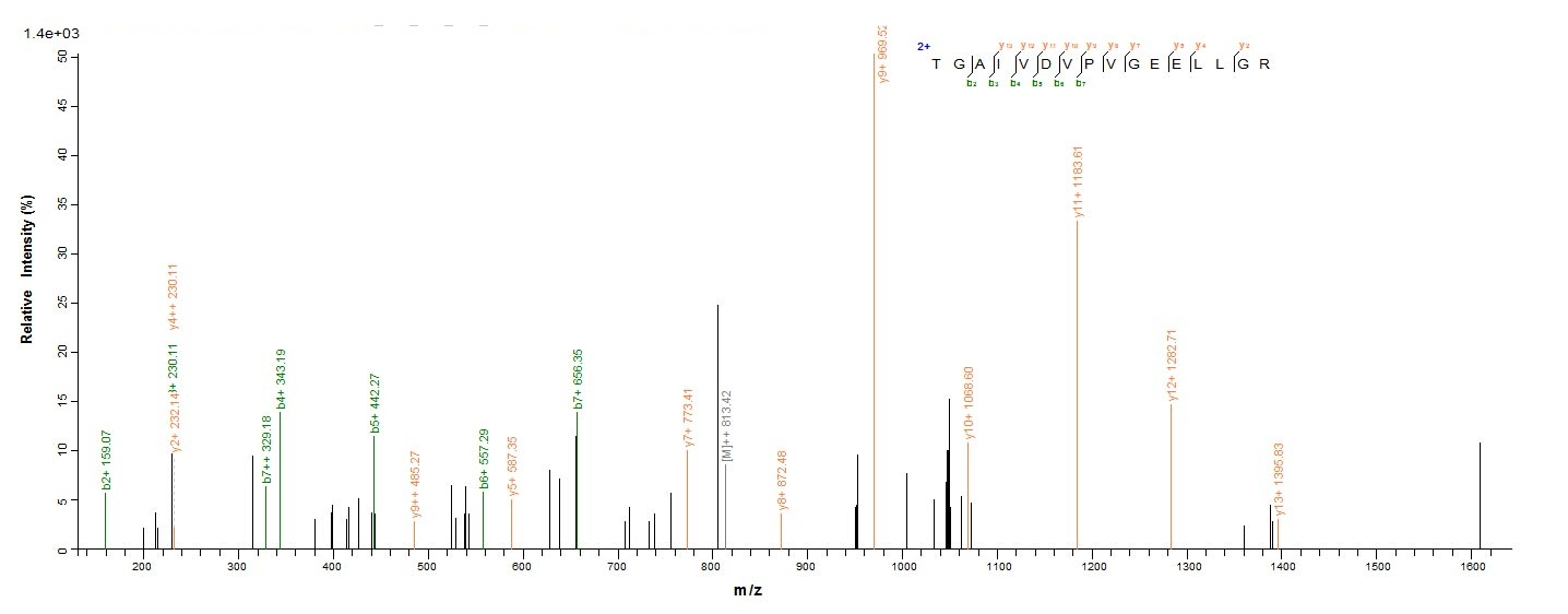 Human ATP5A1 protein