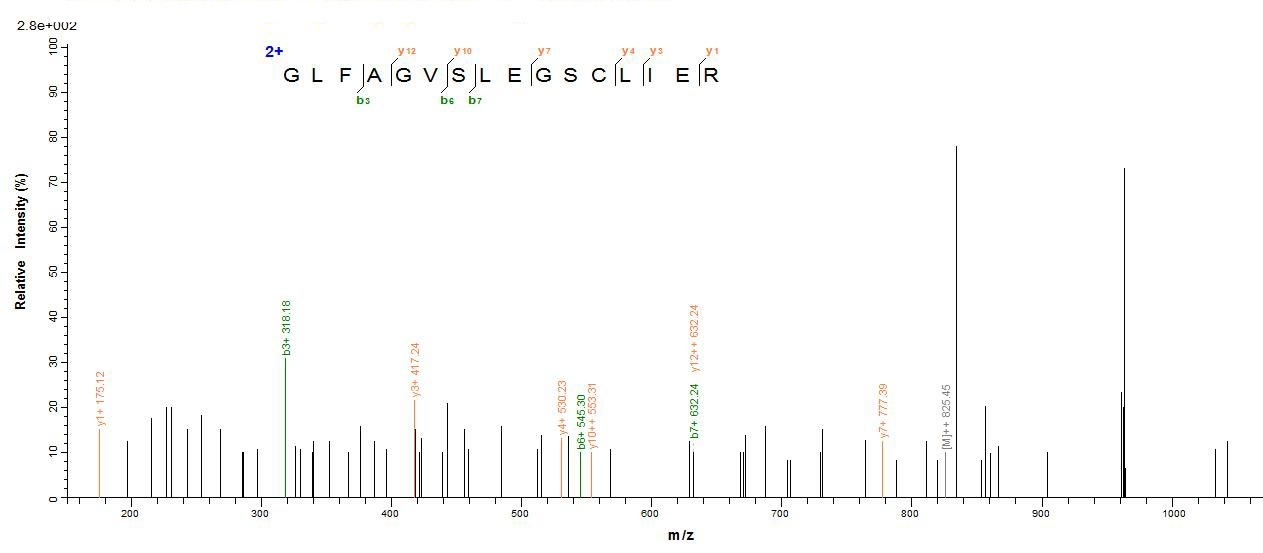 Human SH3YL1 protein