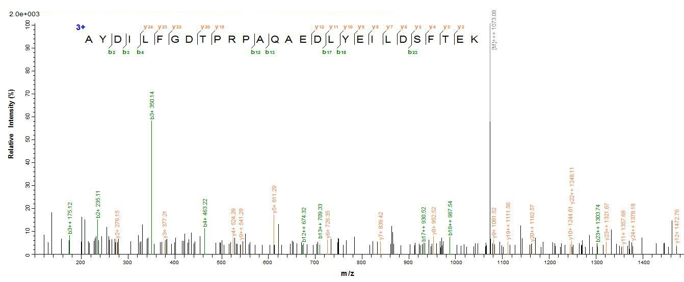 Human SH3YL1 protein