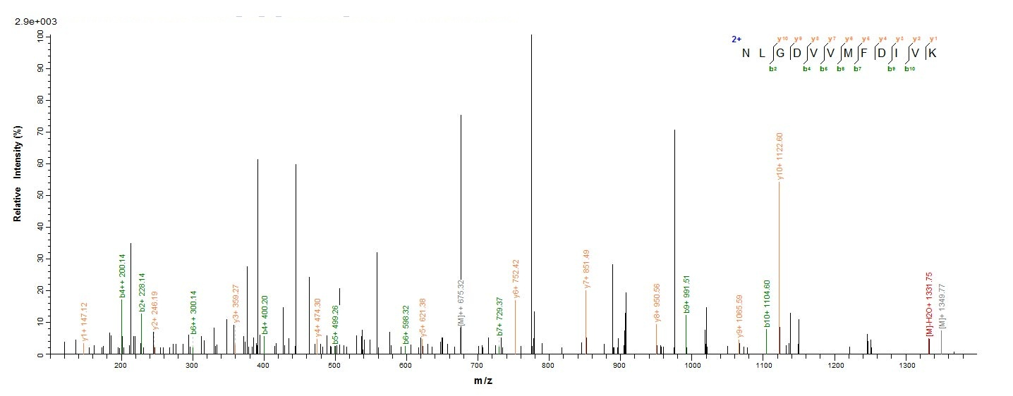 Bacterial PB000185.00.0 protein