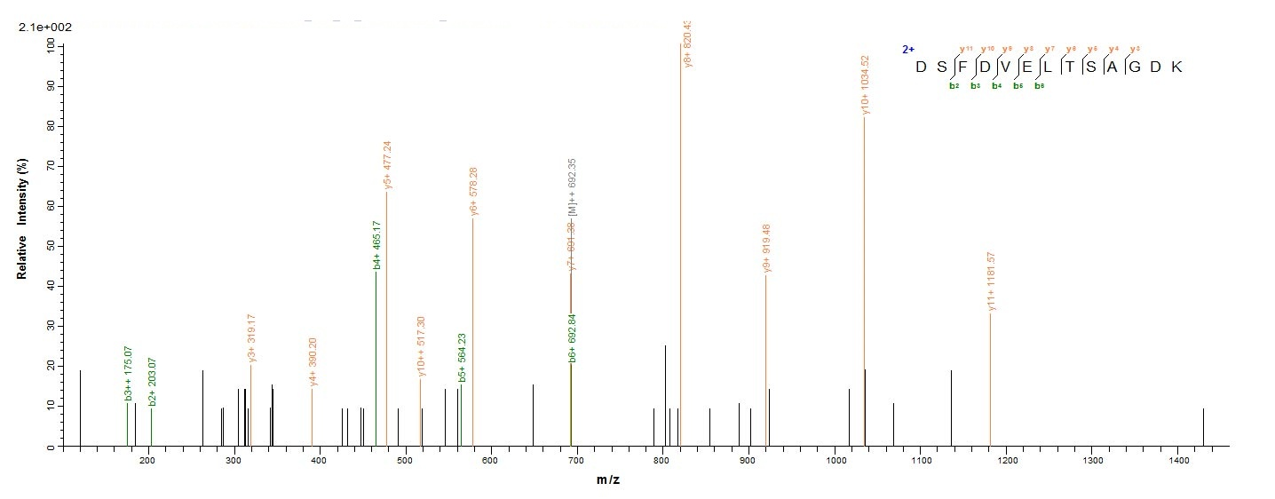Bacterial RPLL protein