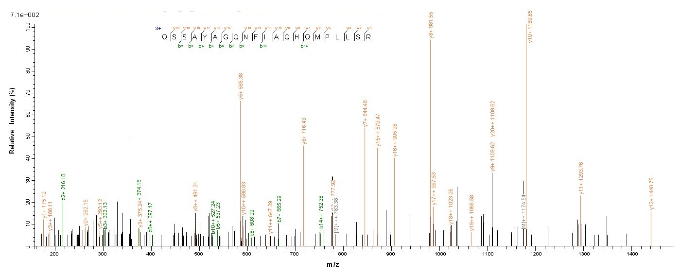 Bacterial LUKF protein