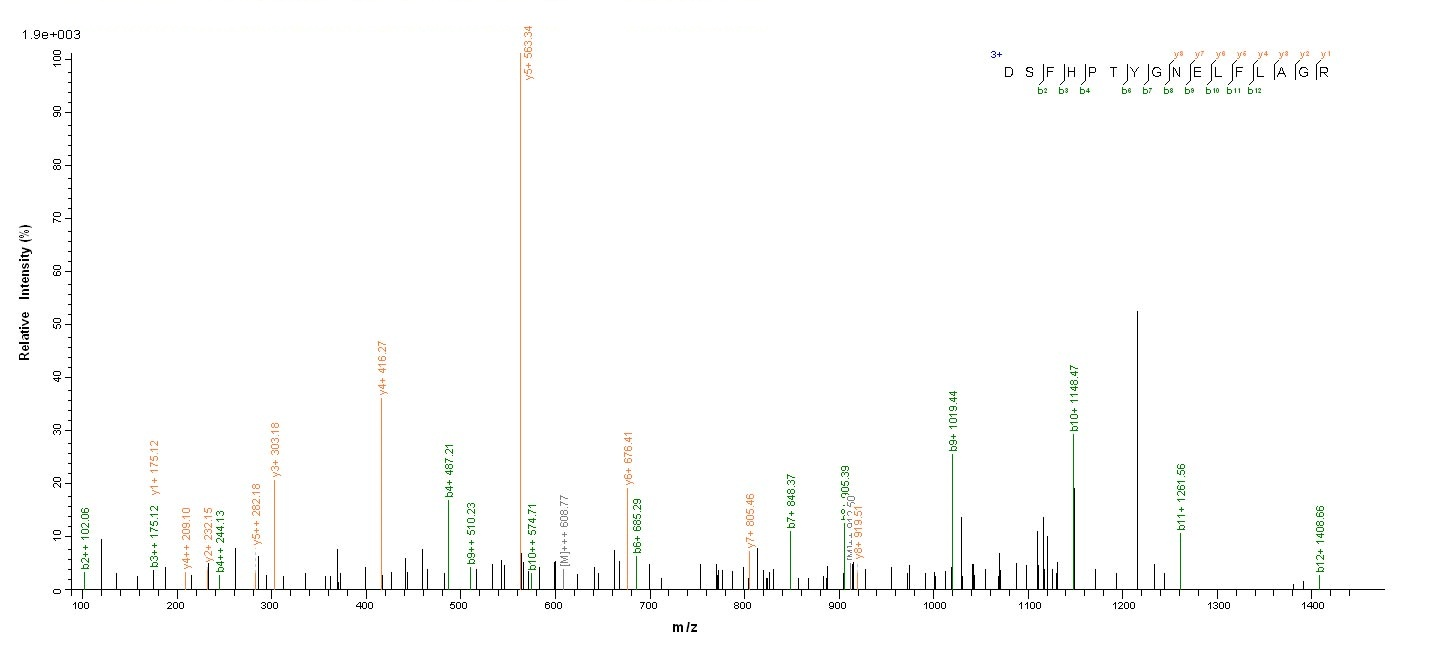 Bacterial LUKF protein