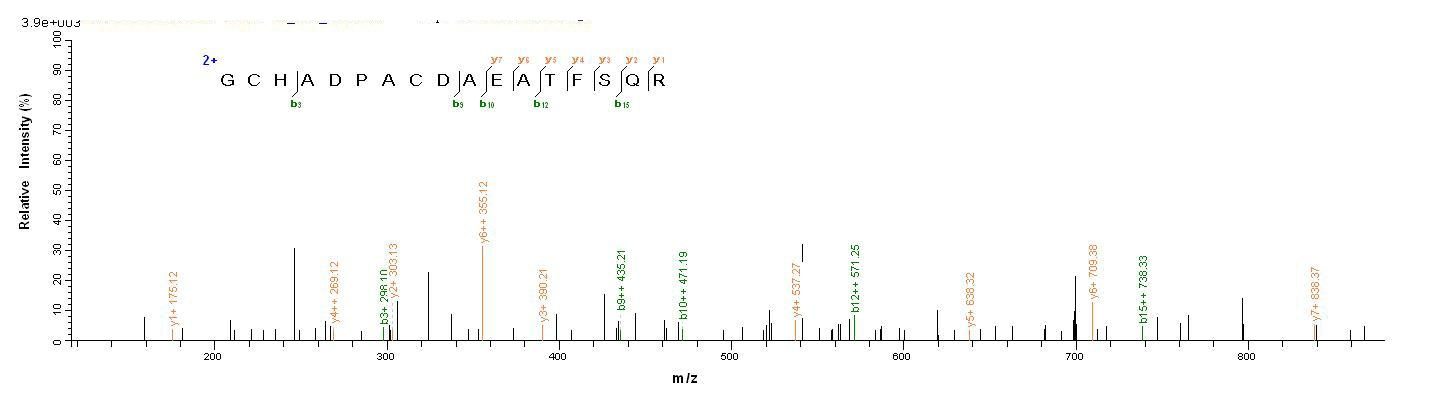 Human OXT protein
