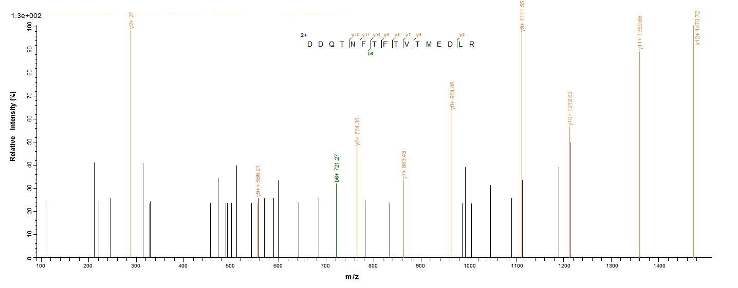 Rat CD300LF protein