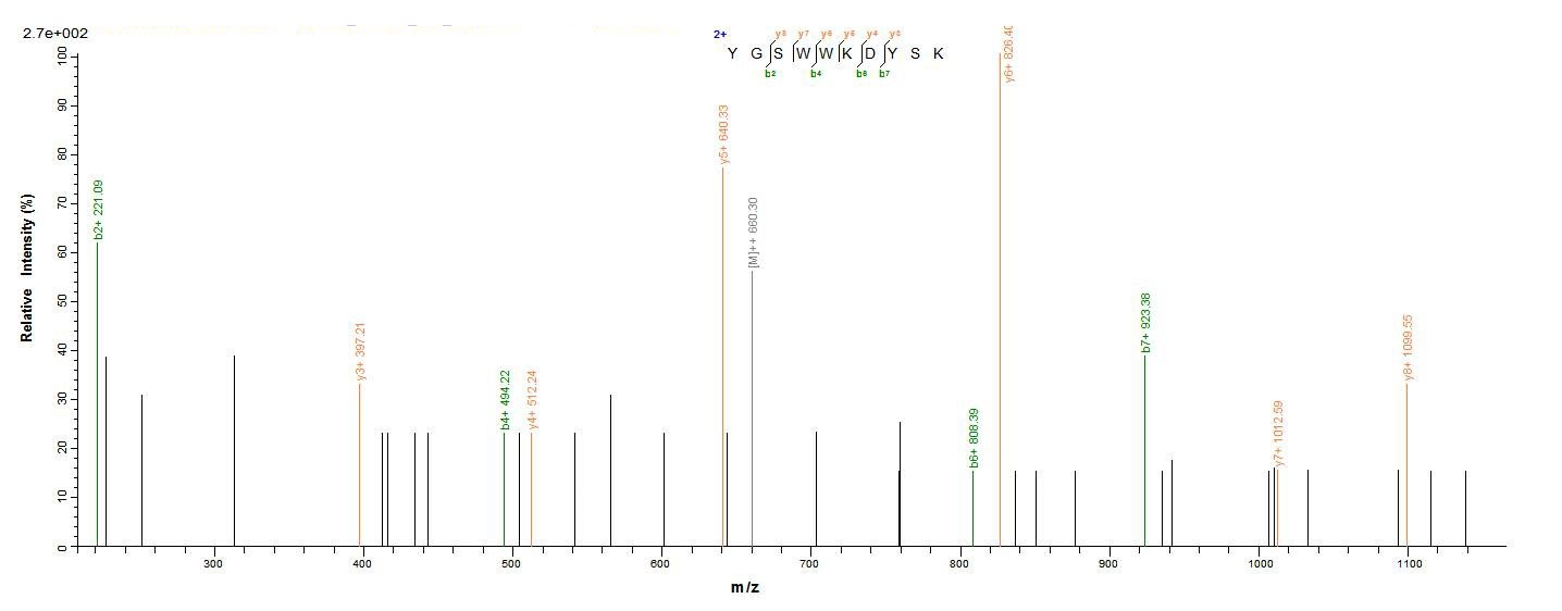 Rat CD300LF protein