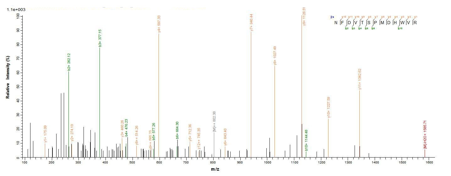 Animal BCA-1 protein