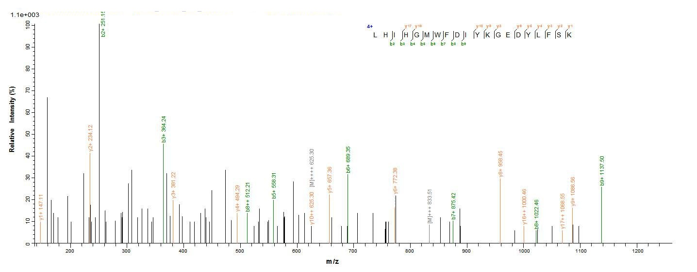 Animal BCA-1 protein