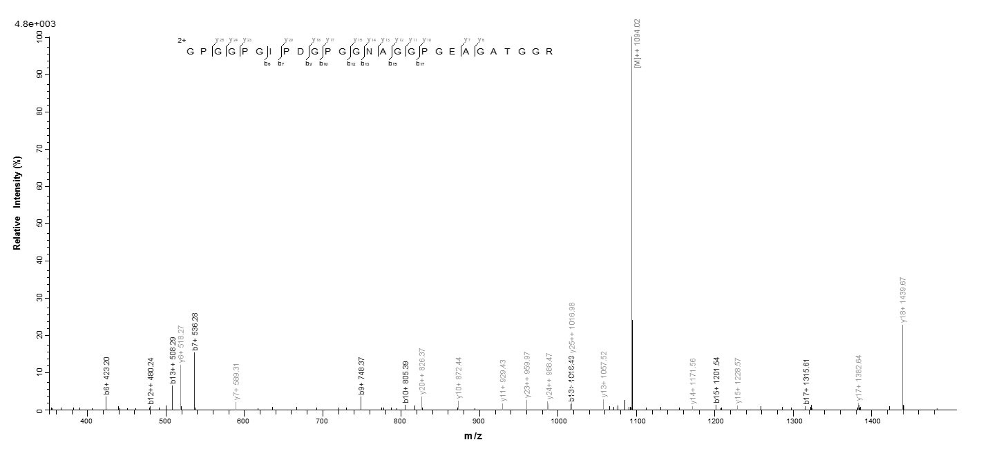 Human CTAG1A protein